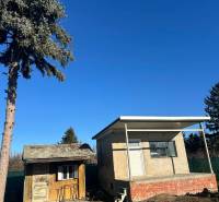 Kertek az Újtelepen Komáromban kis épületekkel és tűlevelű fával.