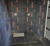 Fürdőszoba sötét csempékkel, zuhanyzóval és fehér radiátorral az épületben.