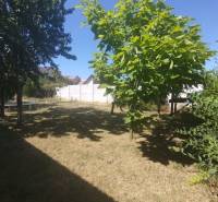 A családi ház kertje Tessedikóban, gyep és fák.