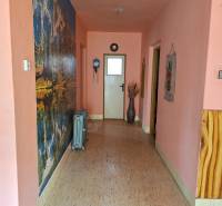 Folyosó egy családi házban fa dekoros padlóval és fali dekorációval.