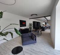 Nappali egy családi házban, fa mintázatú padlóval, szürke bútorokkal és növénnyel.