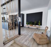 Családi ház belső tere fa dekorációjú padlóval, növényekkel és kötél dekorációval.