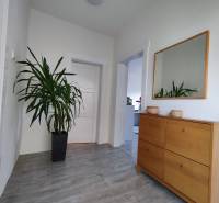 Folyosó fa mintázatú padlóval, tükörrel és növénnyel egy családi házban.