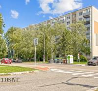 RÓBERT ŠIMON - ALL INCLUSIVE REAL