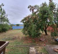 Családi ház Zacharovce-ban gyümölcsfákkal a kertben és fa kerítéssel.