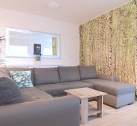 Nappali egy kétszobás lakásban szürke kanapéval és erdei mintás tapétával.