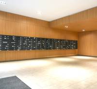 Fából készült dekorral borított falak, postaládák, burkolat, 2 szobás lakás belső tere.