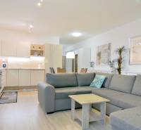 Nappali konyhával egy 2 szobás lakásban, szürke kanapé, szekrény, fa mintázatú padló.