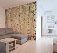 Nappali egy kétszobás lakásban kanapéval, erdő tapétával és fa dekorációval.