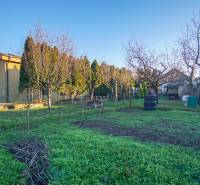 Kert a családi ház mellett a Pod kopcom utcában Érsekújváron, fákkal körülvéve.