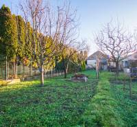 Kert egy családi ház mellett Érsekújváron, a Pod kopcom utcában, gyep és fák.