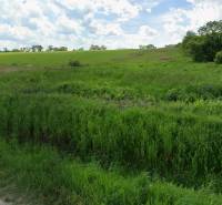 Építési telek Lomnickán, Vranov nad Topľou, füves területtel és dombos tájjal.