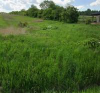 Építési telek a Lomnická utcában, Vranov nad Topľou városában, növényzettel borítva.