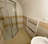 Fürdőszoba az épületben kerámia padlóburkolattal, zuhanyzóval és létrás radiátorral.