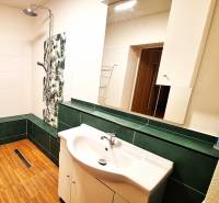 Fürdőszoba családi házban fa dekorációs padlóval és zuhanyzóval.