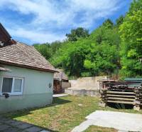 Családi ház Ajnácskőn udvarral, fáskamrával és körülötte zöldellő fákkal.