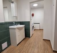 Fürdőszoba családi házban fa mintázatú padlóval és mosógéppel.