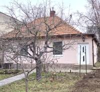 A 29. augusztus utcai családi házat fák és kert veszik körül Lévában.