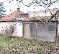 Családi ház az augusztus 29. utcában, Léván, tágas kertben, sok fával.