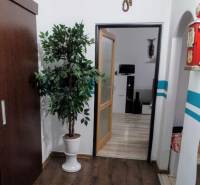 3 szobás lakás belső tere növénnyel, fa mintázatú padlóval és átjáróval egy másik helyiségbe.