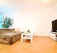 Nappali egy kétszobás lakásban, fa mintázatú padlóval, kanapéval és televízióval.