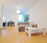 Nappali egy kétszobás lakásban, fa dekorációjú padlóval, kanapéval és dohányzóasztallal.