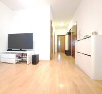 Nappali egy kétszobás lakásban, televízióval és fa dekorációjú padlóval.