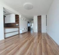 Világos szoba fa dekor padlóval egy kétszobás lakásban.