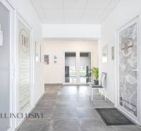 Világos belső tér üzlethelyiségek ajtajával a Vajanského utcán, növények jelenlétével.