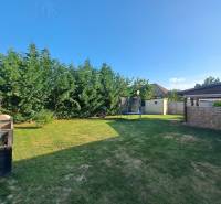 A családi ház kertje Feketeváron gyepes, trambulinnal és sűrű fenyőfákkal.