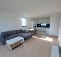 Nappali családi házban konyhával, kanapéval és fa dekorú padlóval.