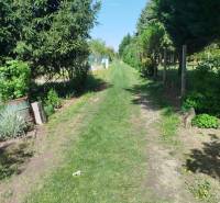 Zöld gyepes kertek Sároson, fákkal és bokrokkal szegélyezve.