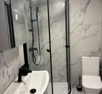 Családi ház fürdőszobája márványburkolattal, zuhanyzóval és mosdóval.