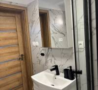 Fürdőszoba faajtóval, mosdóval és tükörrel egy családi házban.