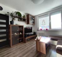 Nappali egy egyszobás lakásban, fa dekoros padlóval és világos bútorokkal.