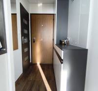 Előszoba egy egyszobás lakásban, fa dekor padlóval és szekrénnyel.