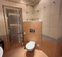 Fürdőszoba egy háromszobás lakásban csempével, WC-vel, létrás radiátorral és üvegpolcokkal.