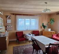 Nappali egy családi házban retro bútorokkal, dekoratív padlóval és szobanövénnyel.