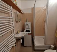 Fürdőszoba egy egyszobás lakásban mosdóval, zuhanyzóval és mosógéppel.