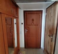 Az egyszobás lakás előszobája fa dekorral és praktikus tükörrel a szekrényen.