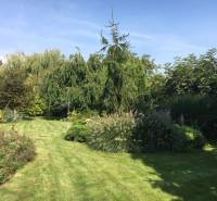 Családi ház kertje Feketevízen buja növényzettel és gyepfelülettel.