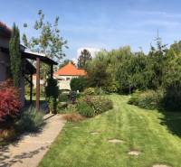 Családi ház kertje Feketevízen gyeppel és zölddel.