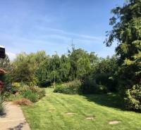 Kert a családi ház mellett Feketevízen gazdag növényzettel és gondozott gyepfelülettel.