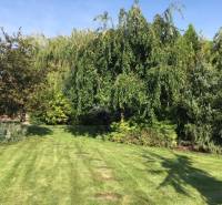 Családi ház kertje Feketevízen, fákkal szegélyezve és rendezett gyep.