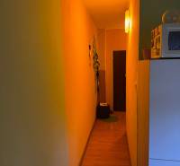 Keskeny folyosó egy egyszobás lakásban, fa dekorációjú padlóval és finom világítással.