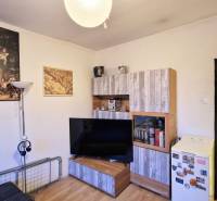 Garzonlakás fa dekorációval ellátott bútorokkal, állólámpával és dekoratív képekkel a falon.