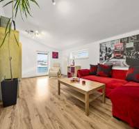 Nappali fa mintázatú padlóval, piros kanapéval és nagy növénnyel.