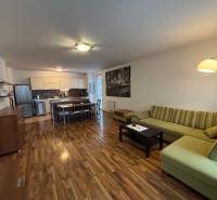 Nappali konyhával, zöld kanapé, konyhabútor és fa dekorációjú padló.