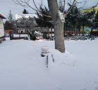 Egy családi ház havas kertje a Hájska utcában, Martinban, egy fa a tér közepén.