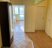 Folyosó egy 3 szobás lakásban fa dekor padlóval és beépített szekrénnyel.